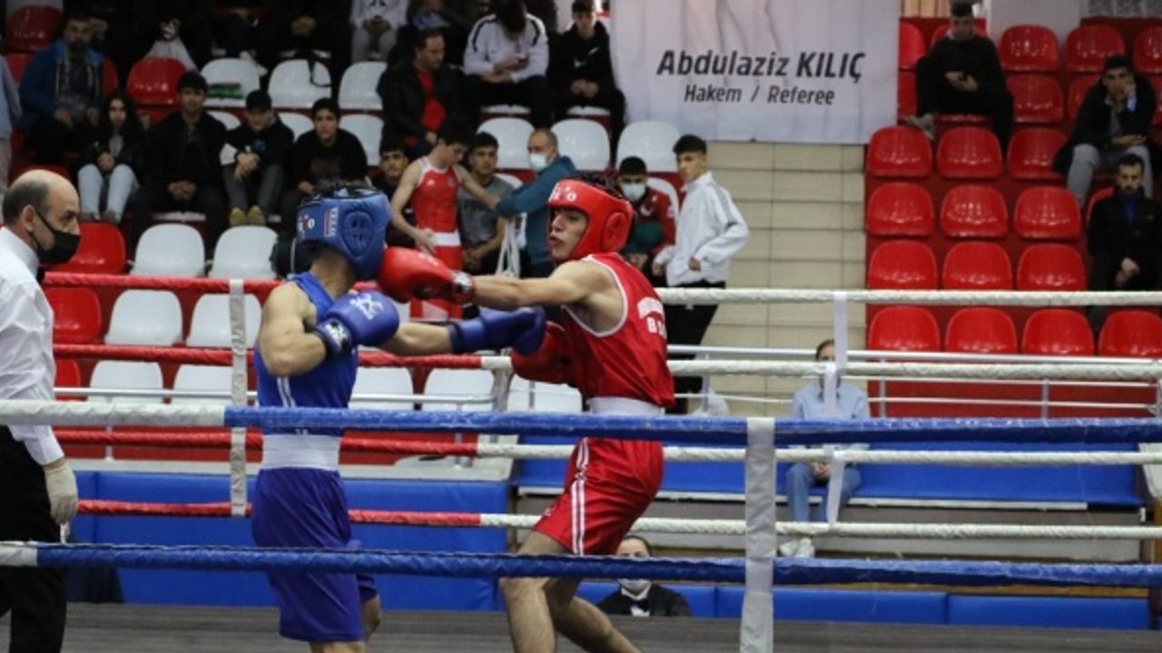 Türkiye Boks Şampiyonası Aydın'da başladı