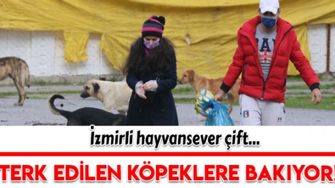İzmirli hayvansever çift ormana terk edilen köpeklerin bakımını üstlendi