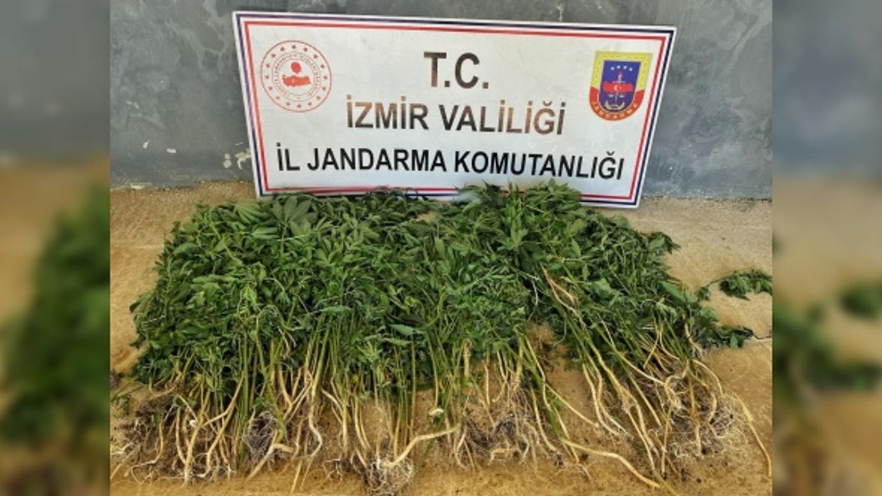 İzmir’de uyuşturucu operasyonları: 26 gözaltı