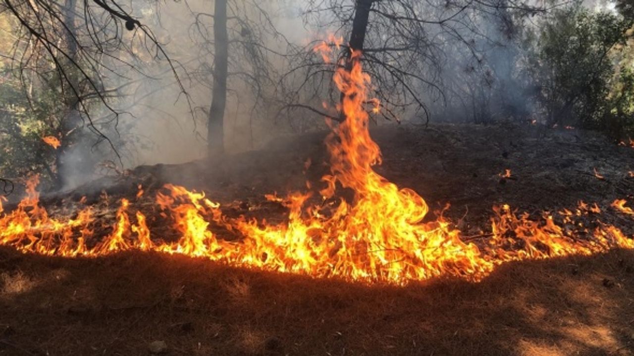 Manisa Spil Dağı'ndaki orman yangını söndürüldü