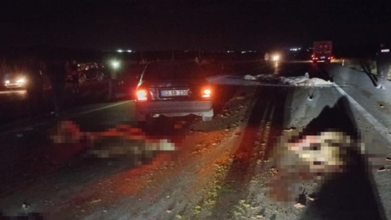  Otomobilin çarptığı sürüde 20 koyun telef oldu