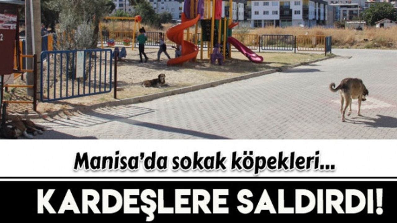 Manisa’da 3 gün arayla iki kardeş sokak köpeklerinin saldırısına uğradı