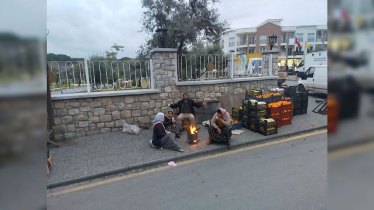 Aydın'da pazarcılar sabah soğuk havadan ateş yakarak korunuyor
