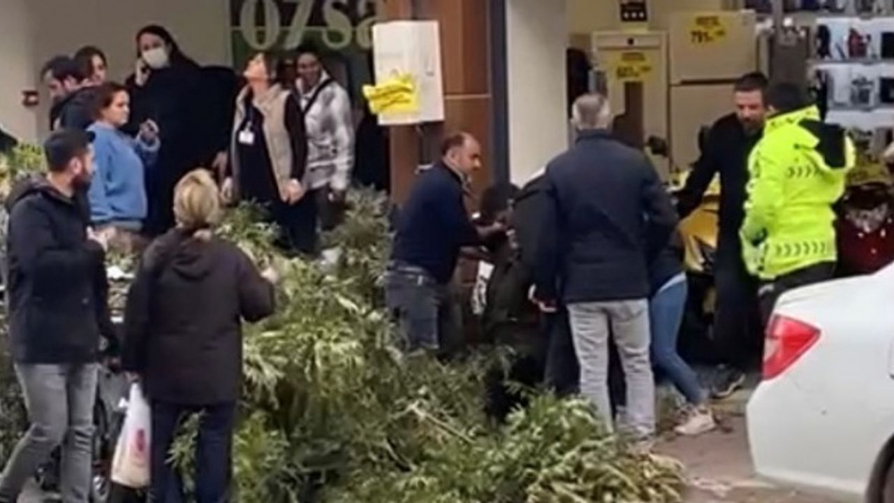 İzmir'de yürüyen bir kadının başına ağaç dalı düştü