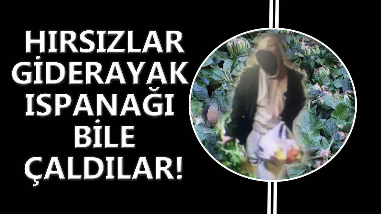 İzmir'de süpermarkete dadanan hırsızlar ne varsa götürdü