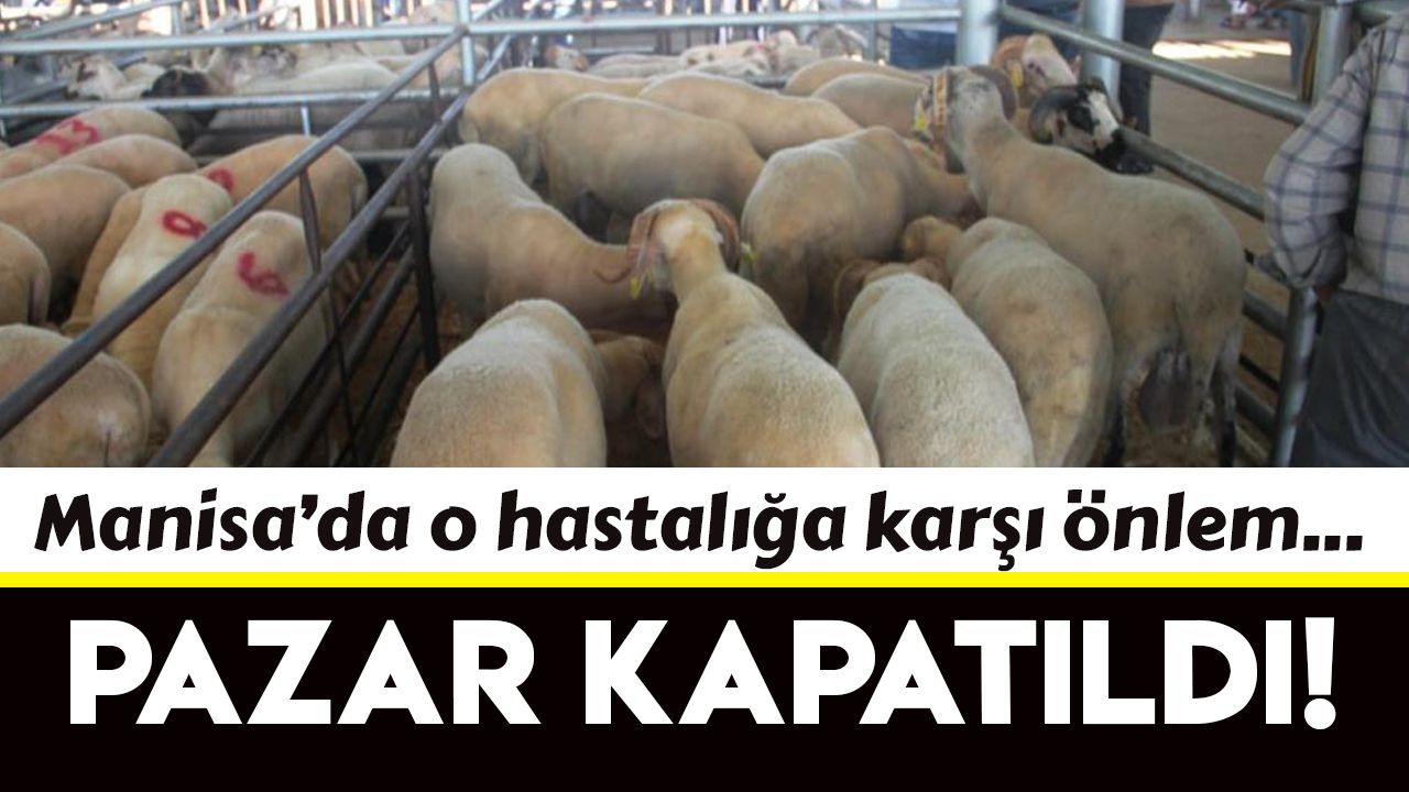 Manisa'da canlı hayvan pazarı ikinci emre kadar kapatıldı