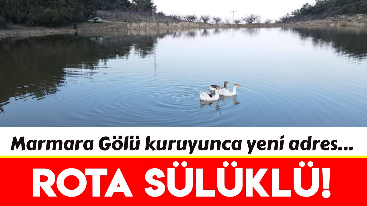 Manisa'da göçmen kuşlar rotayı Sülüklü Göle çevirdi