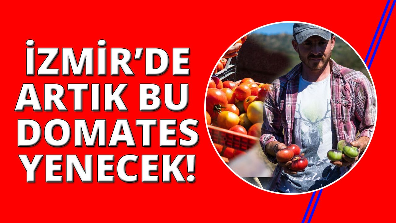İzmirliler artık Yamanlar Domatesi yiyecek