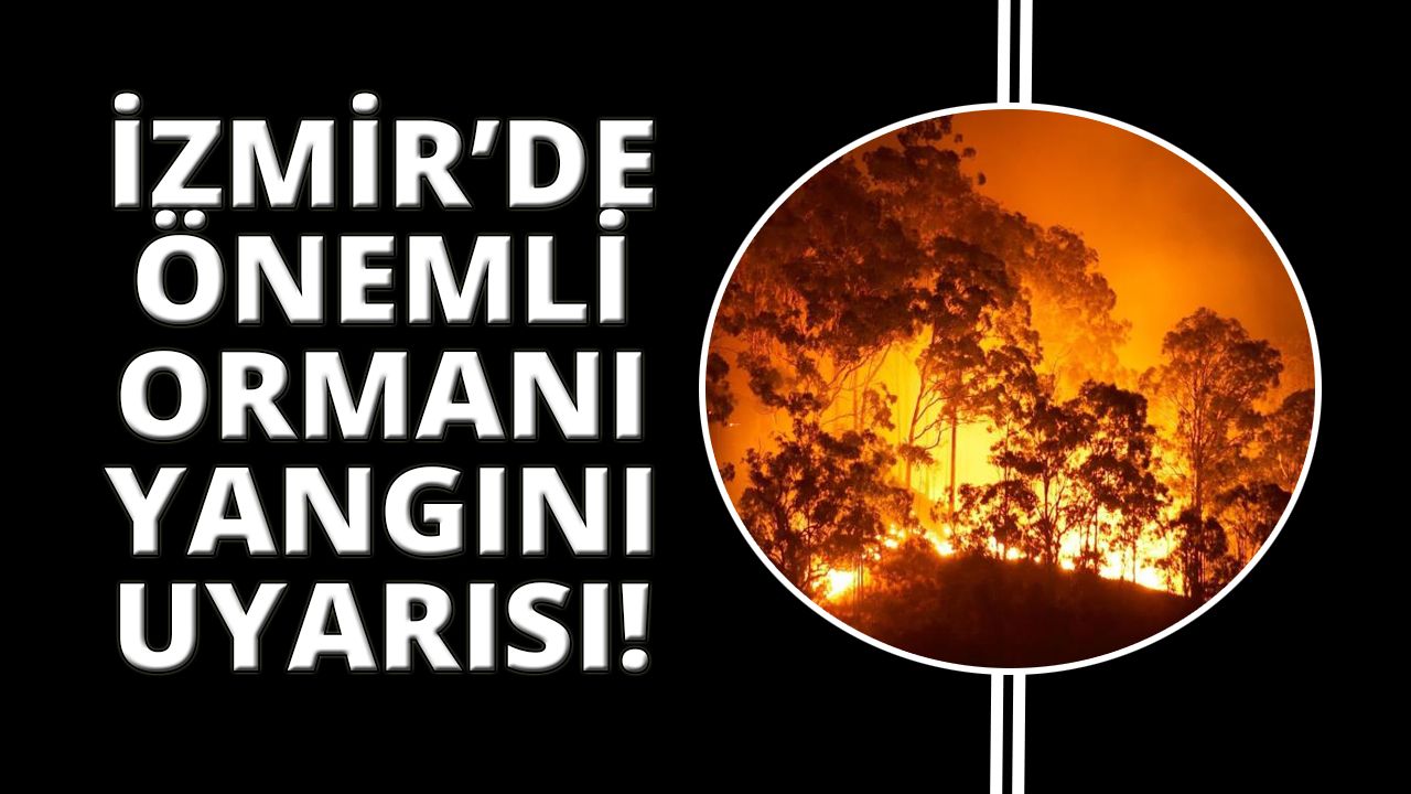 İzmir'de uzmanları orman yangını uyarısı yaptılar