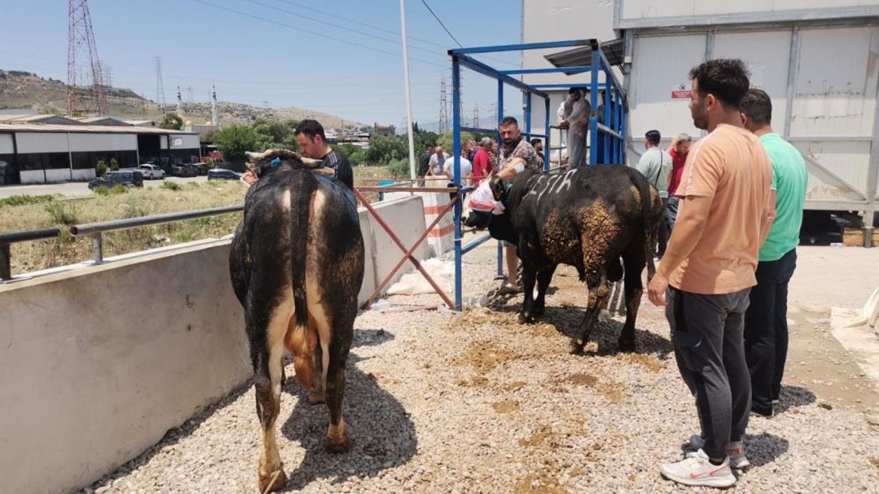 İzmir’de bayramın ilk günü hayvan pazarlarında yoğunluk