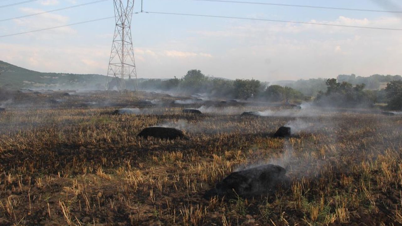 Kula’da 30 dönüm ekin tarlası yandı