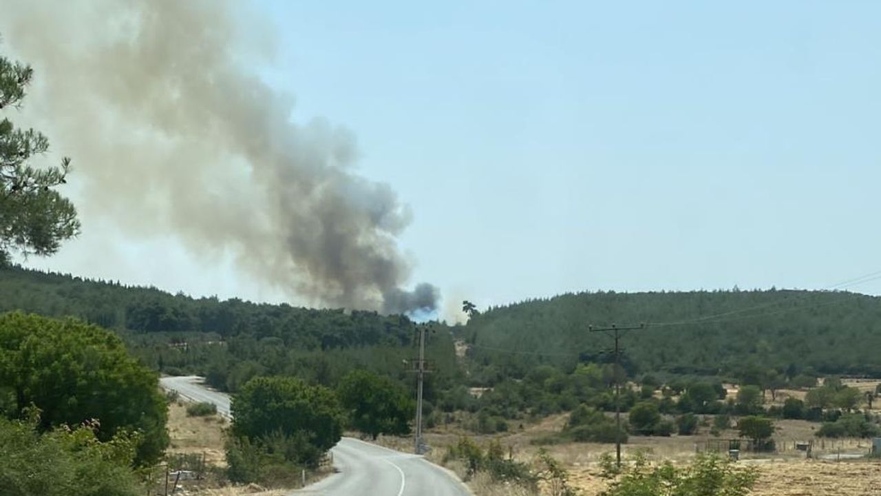  İzmir'de bir orman yangını daha başladı
