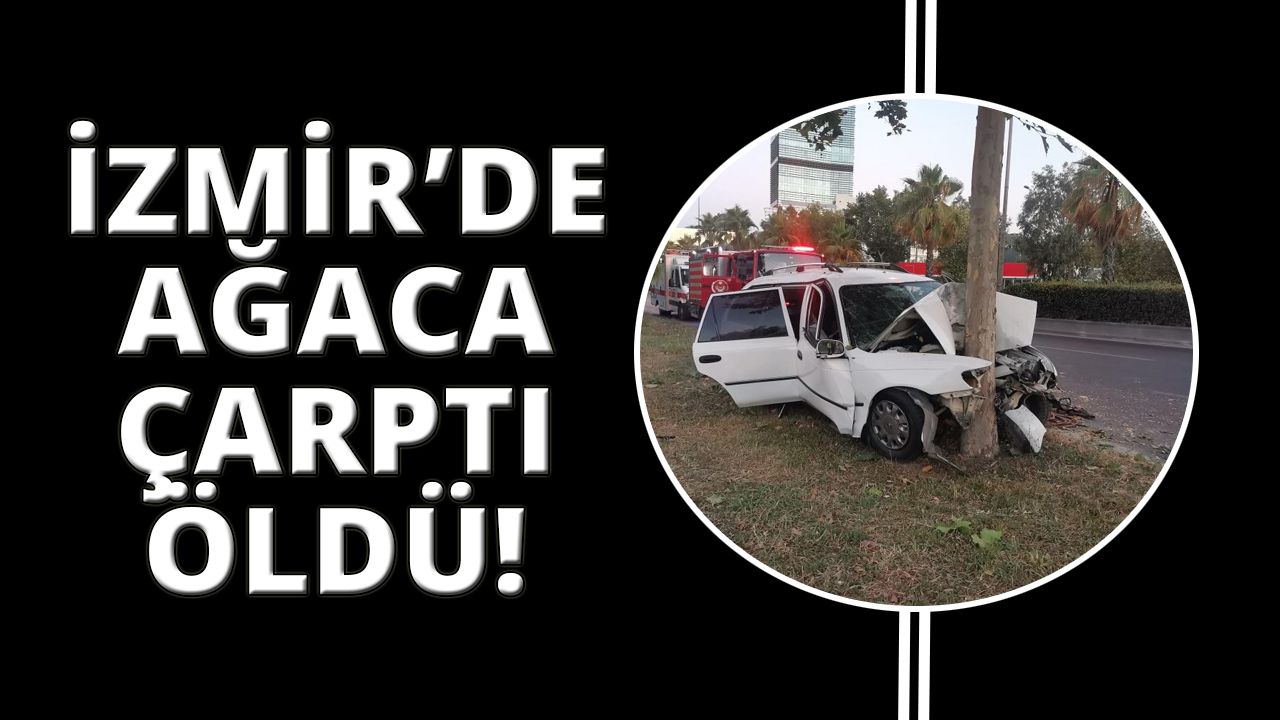 İzmir'de ağaca çarpan sürücü hayatını kaybetti