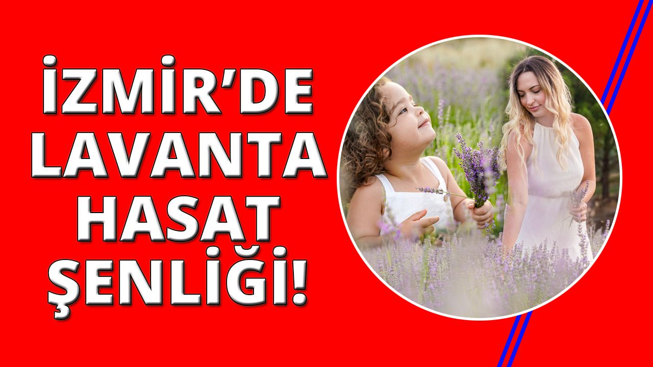 İzmir'de Lavanta Hasat Şenliği başlıyor