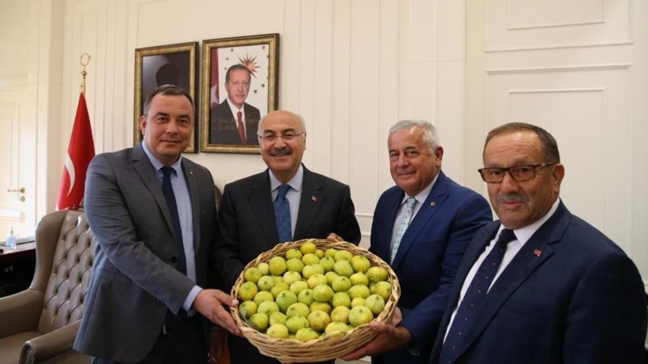 Borsa, sezonun ilk incirini İzmir Valisi Köşger’e takdim etti