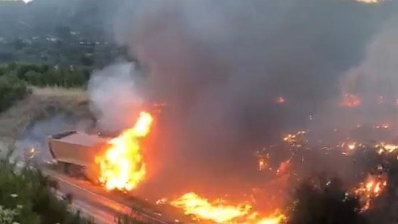 Manisa'da kamyonda çıkan yangın ormana sıçradı