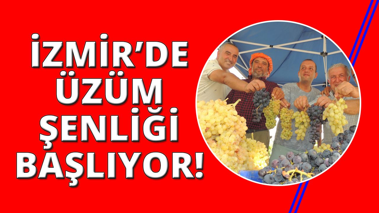 İzmirliler hafta sonu o ilçeye üzüm yemeye gidiyor