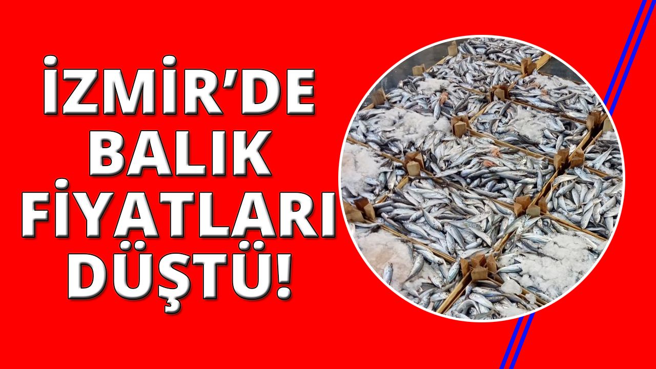 İzmir'de balık fiyatları düştü!