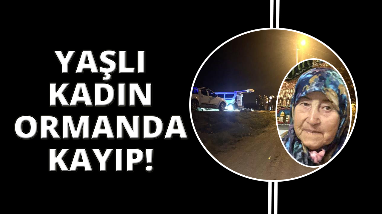 Kütahya'da 87 yaşındaki kadın ormanda kayboldu