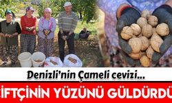 Denizli'nin coğrafi işaretli cevizinde hasat sona erdi