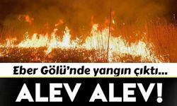 Eber Gölü'ndeki kamışlar alev alev yanıyor