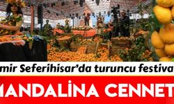 İzmir'de Mandalina Festivali'nden renkli görüntüler