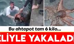  6 kiloluk ahtapotu denize atlayıp eliyle yakaladı