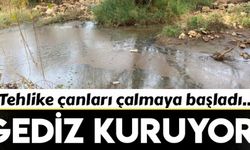 Gediz Nehri için tehlike çanları çalıyor