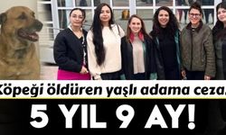 Köpeği tüfekle öldüren yaşlı adama 5 yıl 9 ay hapis cezası