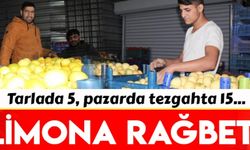 Limon dalında 5 TL, pazarda 15 TL