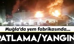 Muğla'da balık yem fabrikasında patlama sonrası yangın çıktı