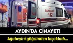 Aydın'da bir şahıs, ağabeyini göğsünden bıçaklayarak öldürdü