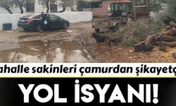 Muğla'da yol isyanı!