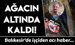 Balıkesir'de kestiği ağacın altında kaldı