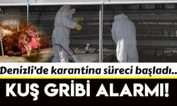 Denizli’de kuş gribi alarmı! Karantina başladı