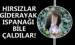 İzmir'de süpermarkete dadanan hırsızlar ne varsa götürdü