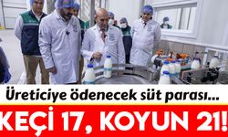 İzmir'de keçi sütü 17 lira, koyun sütü 21 liradan alınacak