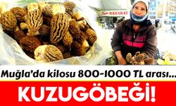 Muğla'da kuzugöbeğinin fiyatı altınla yarışıyor