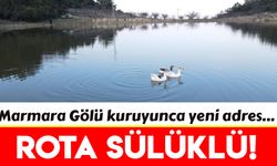 Manisa'da göçmen kuşlar rotayı Sülüklü Göle çevirdi