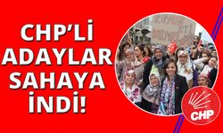 CHP İzmir adayları saha çalışmalarına başladı