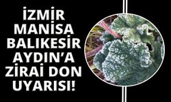 İzmir, Manisa, Aydın ve Balıkesir'e don uyarısı yapıldı