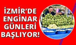 Binlerin beklediği Urla Enginar Günleri başlıyor