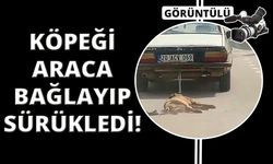 Köpeği araca bağlayıp sürükleyerek öldürdü