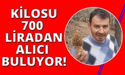 Fiyatı 700 lirayı bulan kuzugöbeği gelir kapısı oldu