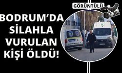 Bodrum'da kafasından vurularak öldürüldü