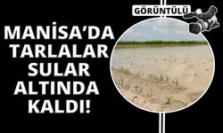 Manisa’da sel felaketi tarım arazilerini vurdu