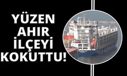 Yüzen ahırdan ilçeye kötü kokular yayıldı