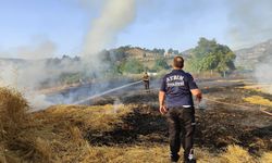 Buğday tarlasında çıkan yangın korkuttu