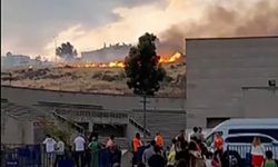  İzmir'de rekreasyon alanının yakınında ot yangını