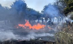 Kuşadası’nda denize 50 metre uzaklıkta yangın